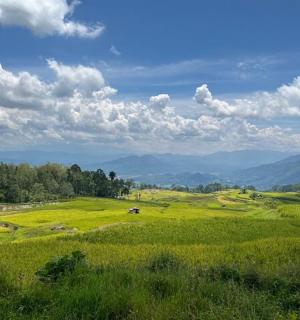 a green field with mountains in the background