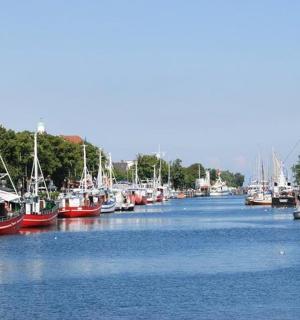 a bunch of boats are docked in a river