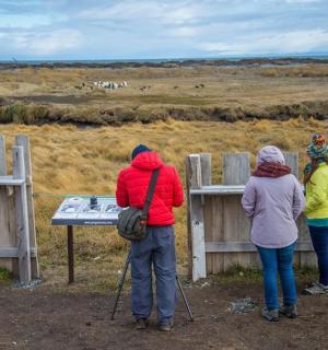 三个人透过篱笆往外看