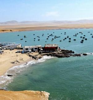 一群鸟儿坐在沙滩上的水中