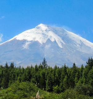 ein schneebedeckter Berg mit Bäumen davor