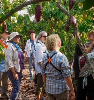 a group of people walking through a forest