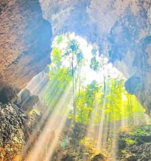 a view from the inside of a cave with the sun shining