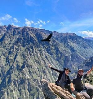 两个人坐在山顶上,身边有一只鸟