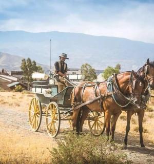 a man in a horse drawn carriage on a dirt road