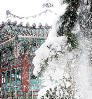 喷泉前被雪覆盖的建筑