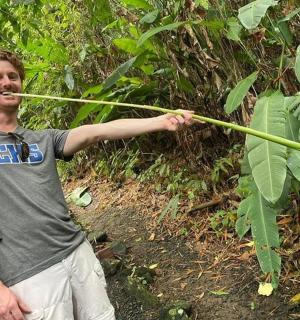 森林里拿着竹竿的男人