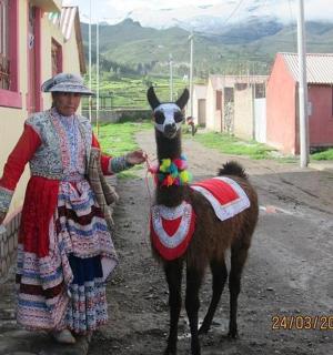 一位女士站在一头小驴旁边