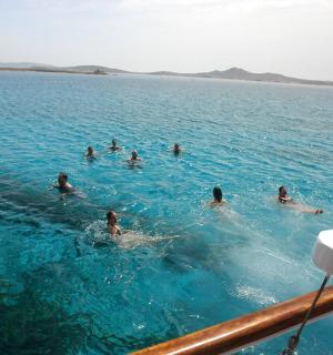 一群人在船上游泳