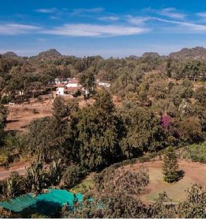 一片有树木和房屋的田野的俯视图