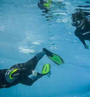 一名潜水员和一只狗在泳池里游泳