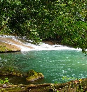 a river with a waterfall in the middle of a forest