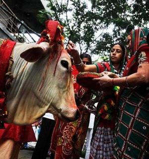 eine Gruppe von Menschen steht neben einer Kuh