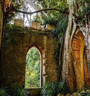 an old building with a window and some trees