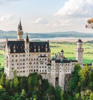 a castle on a hill with trees