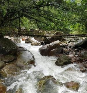 a stream of water with rocks and trees