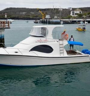 a white boat is docked in the water