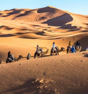 a group of people riding horses in the desert