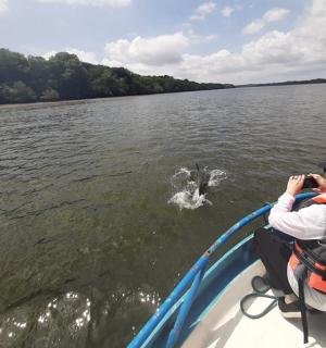 a person on a boat in the water