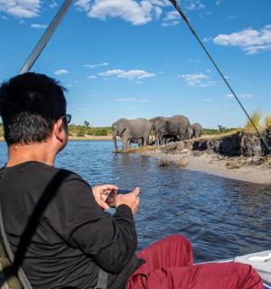 一名男子在船上观察水中的大象