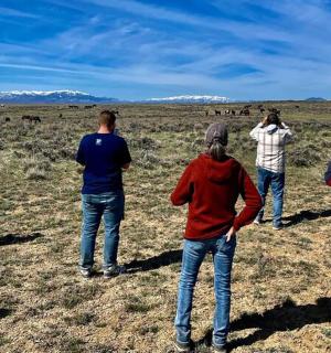 skupina lidí stojících na poli a pozorujících zvířata