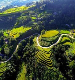 an aerial view of a winding road on a mountain