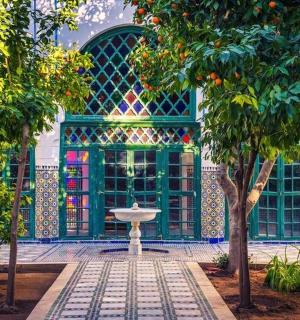 fontána před budovou se stromy