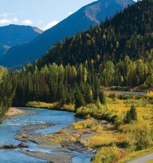 řeka uprostřed lesa vedle silnice