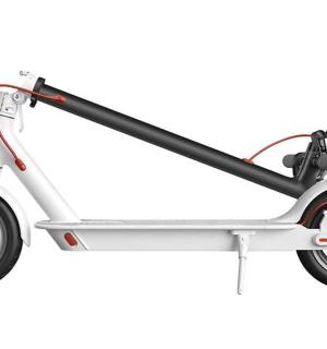 白色背景上隔离的电动滑板车