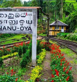 cedule vedle železničních kolejí s květinami