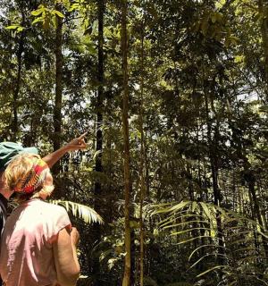 a man and woman walking through the forest