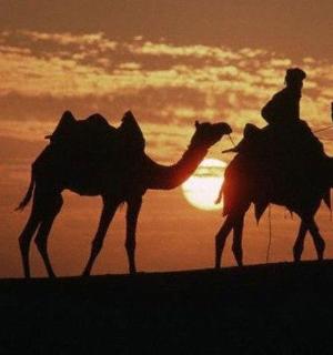 两个人在日落前骑着骆驼