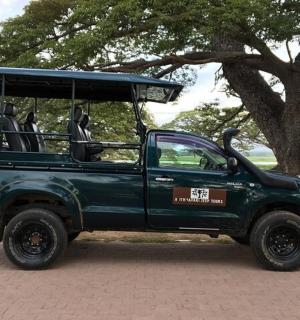a green pick up truck parked next to a tree
