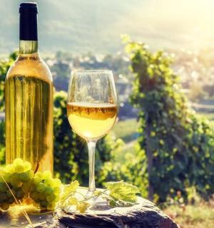 a bottle of wine and a glass of grapes