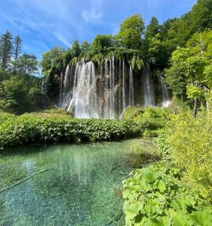 a waterfall in a forest with a body of water