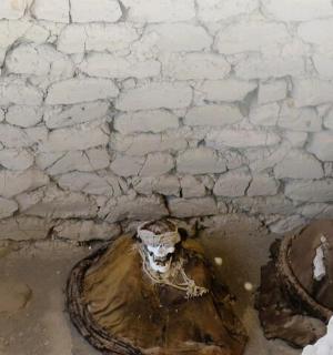 一间有砖墙的肮脏房间