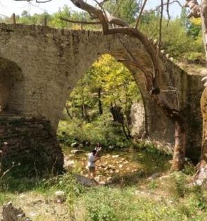 站在古老石桥下的人