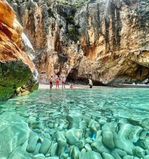 a group of people standing in the water at a beach