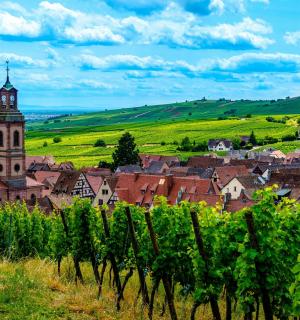a town with a clock tower and a bunch of vines