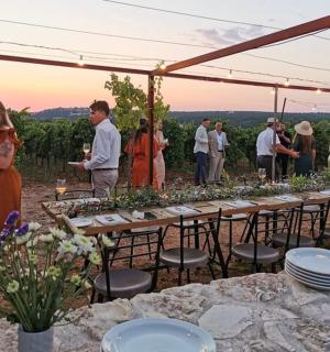 a group of people standing around a table in a vineyard