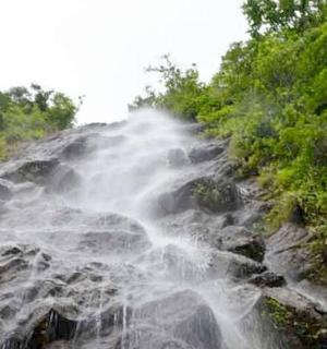 树木繁茂的山坡上的瀑布