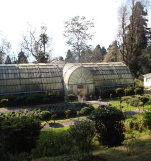 花园里有一座房子的大温室