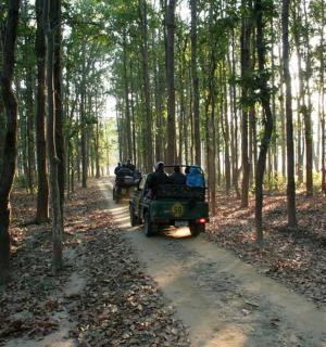 a jeep driving down a dirt road in a forest