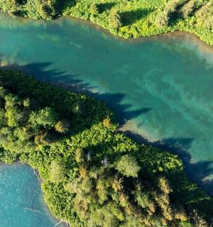 an aerial view of a river with trees and water