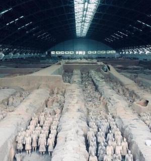 a large group of sheep in a large building