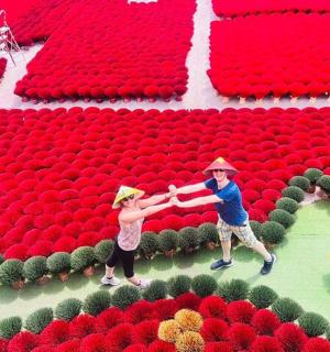 两个孩子在一大片红花中玩耍