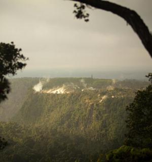 pohled na horu se stromy