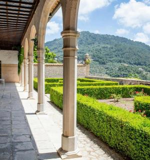 花园里有灌木和树木的拱形走道