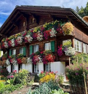 a house with lots of flowers on it
