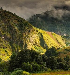 一座绿树成荫的山丘